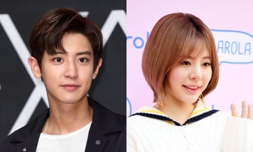 비타민투어 이미지