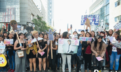 스타인터내셔널 이미지