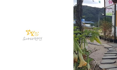 소나타노래방 이미지