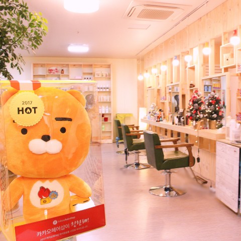 헤세드헤어 이미지