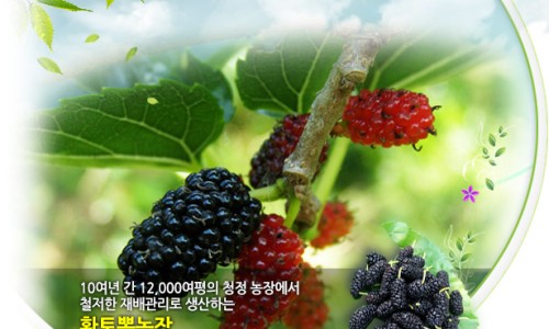 황토뽕 농장 이미지