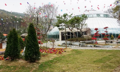 동천족발 이미지