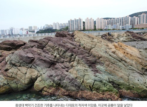 공룡컴퓨터 이미지