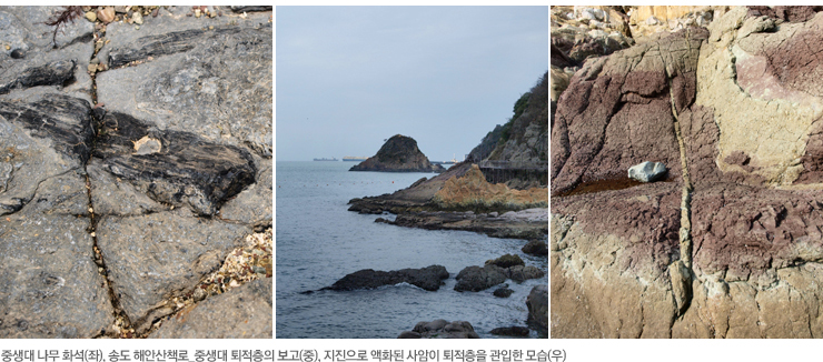 공룡컴퓨터 이미지