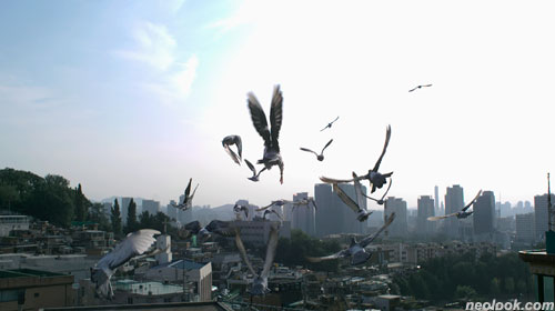 시선 팩토리 이미지