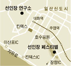 노랑꽃밭 이미지