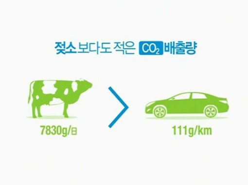 순화광고 이미지