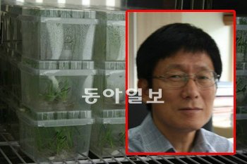 노다지슈퍼 이미지