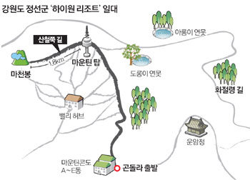 하이원투어 이미지