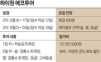 하이원투어 이미지
