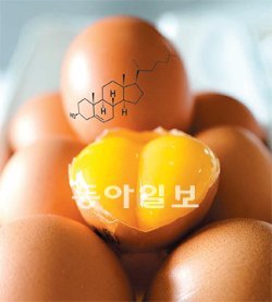 정석닷컴 이미지