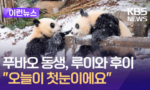 카페첫눈 이미지