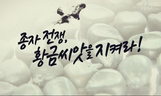황금씨앗 이미지