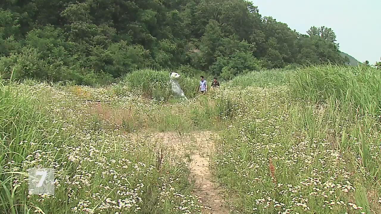 금강신세 이미지