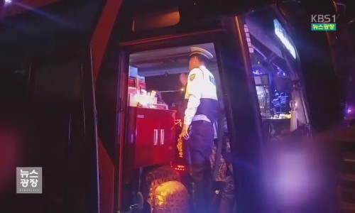 월명관광여행사 이미지