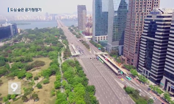 도심숲 이미지
