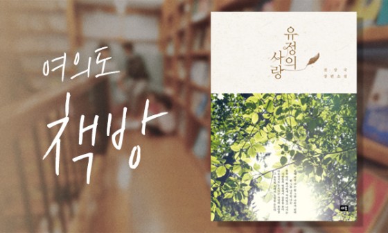 책방봄봄 이미지