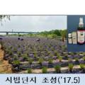 경인육묘장 이미지