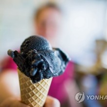 바닐라 이미지