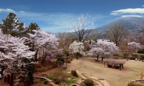 서운조경 이미지