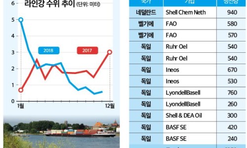 아이디어라인 이미지