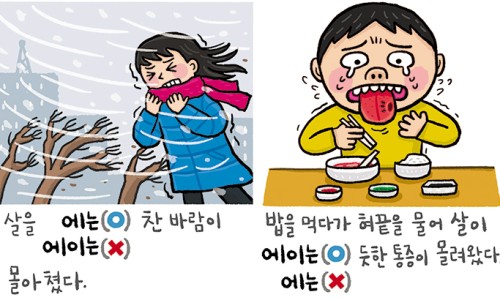 바른327 이미지
