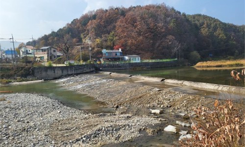 더청정한(The청정한) 이미지