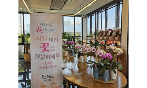 죽전화훼 이미지
