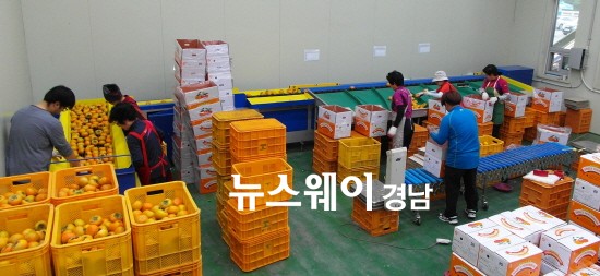 동남유통 이미지