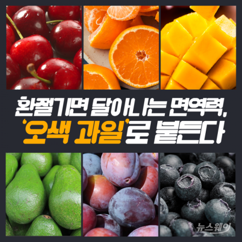이맘때 과일 이미지