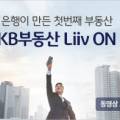 kb부동산 채용,kb부동산 api,kb부동산 신탁,kb부동산 과거시세,kb부동산 보고서,kb부동산 liiv on,