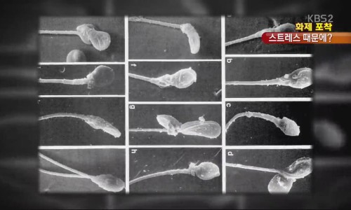 이에스길비뇨기과의원 이미지