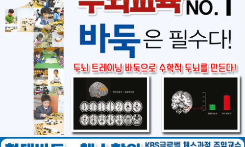 한국체스협회 이미지