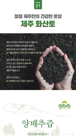 제주유기농협동조합 이미지