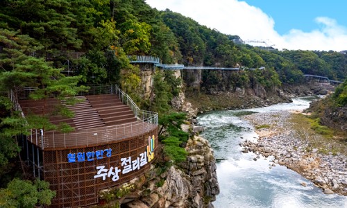 구절초 꽃축제 투어기차 이미지