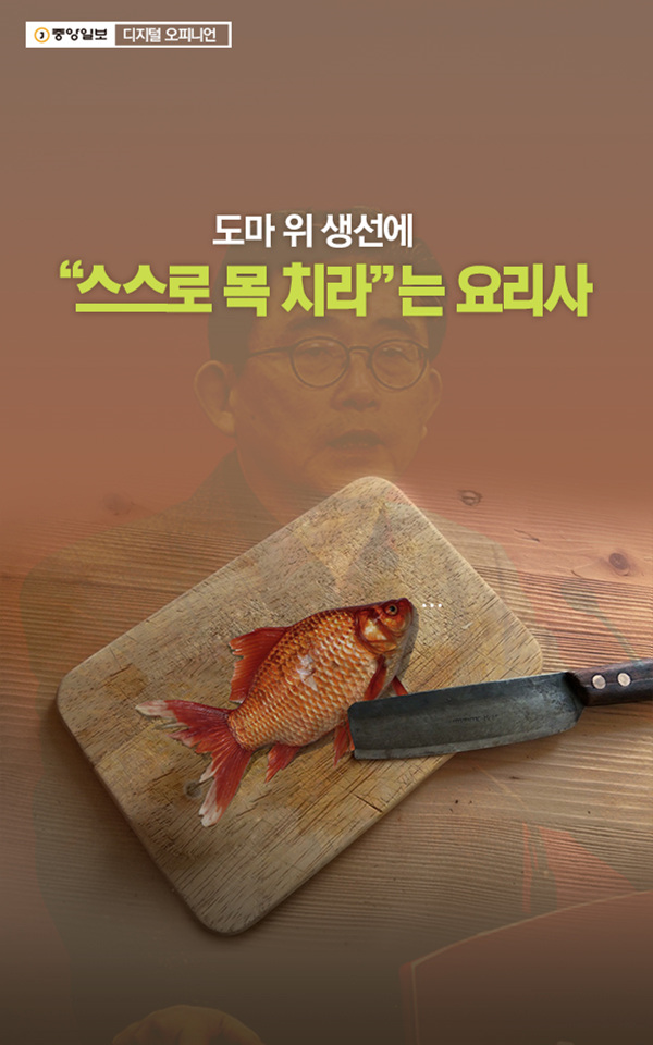 도마위 이미지