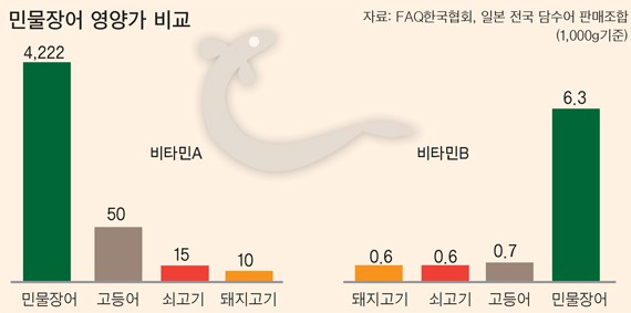 민물장어나라 이미지