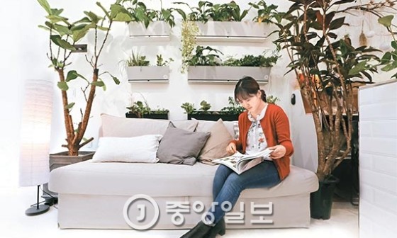 대신조경 이미지