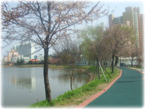 운천빠가탕 이미지