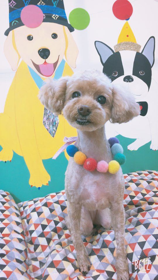 앵두미용실 이미지