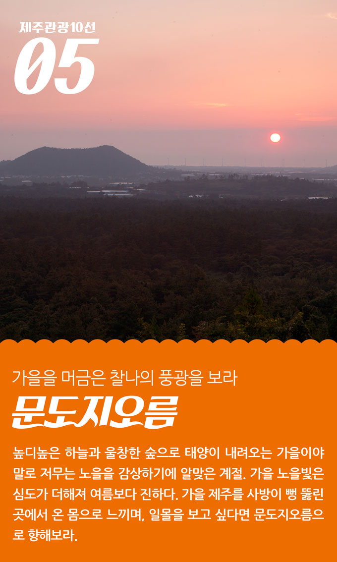 제주890 이미지
