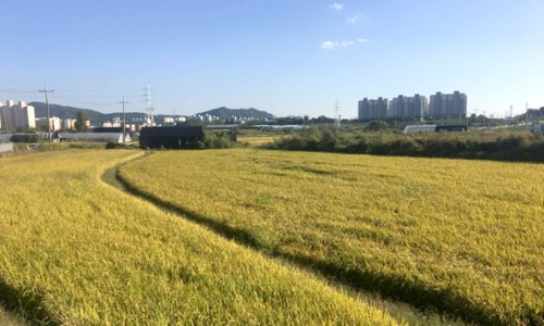태산개발 이미지