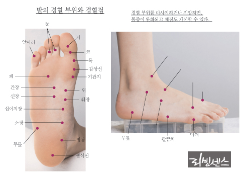 프리웰 이미지