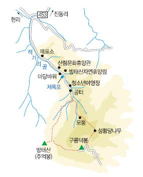 방태산약초 이미지