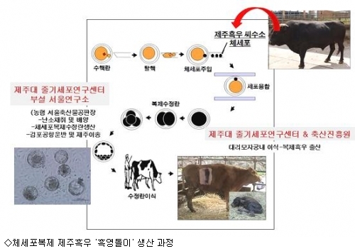 제주축산농협축산물공판장 이미지