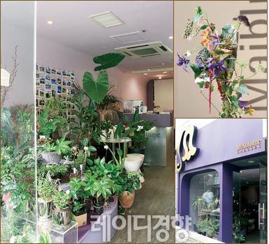 명품플라워 이미지