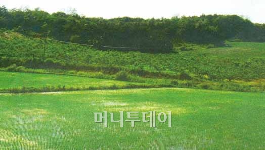경우기획 이미지