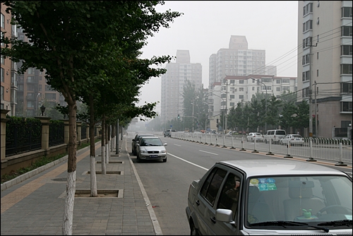 아리랑북경 이미지