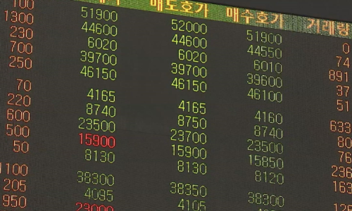 엠에스지주 이미지