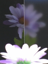 대우종합석유 이미지